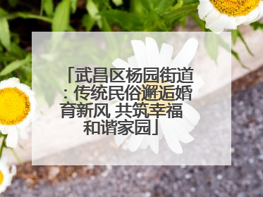 武昌区杨园街道：传统民俗邂逅婚育新风 共筑幸福和谐家园