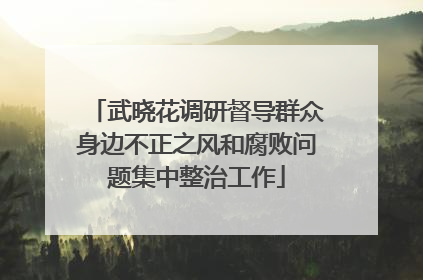 武晓花调研督导群众身边不正之风和腐败问题集中整治工作
