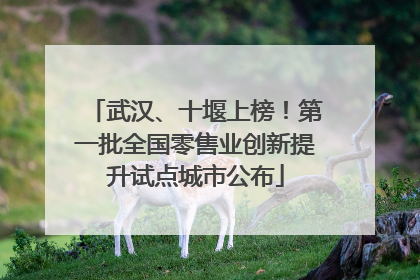 武汉、十堰上榜！第一批全国零售业创新提升试点城市公布