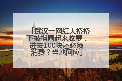 武汉一网红大桥桥下被指圈起来收费，进去100块还必须消费？当地回应