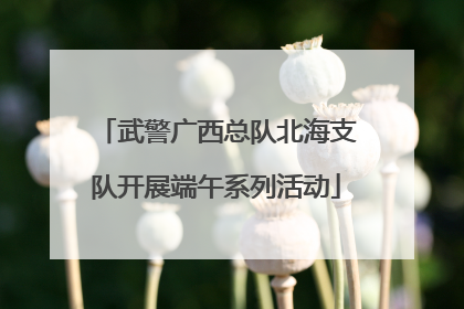 武警广西总队北海支队开展端午系列活动
