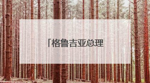 格鲁吉亚总理重申加入欧盟目标不变，但欲先重塑与欧关系
