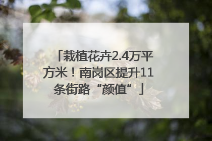 栽植花卉2.4万平方米！南岗区提升11条街路“颜值”