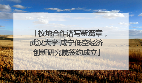 校地合作谱写新篇章，武汉大学·咸宁低空经济创新研究院签约成立