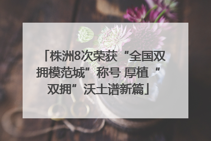 株洲8次荣获“全国双拥模范城”称号 厚植“双拥”沃土谱新篇