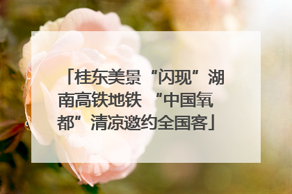 桂东美景“闪现”湖南高铁地铁 “中国氧都”清凉邀约全国客
