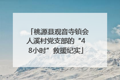 桃源县观音寺镇会人溪村党支部的“48小时”救援纪实