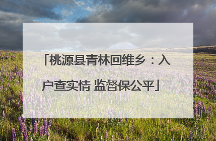 桃源县青林回维乡：入户查实情 监督保公平