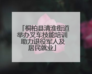桐柏县清淮街道举办叉车技能培训 助力退役军人及居民就业