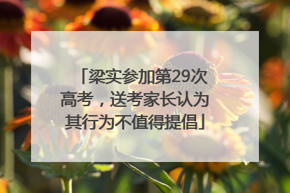 梁实参加第29次高考，送考家长认为其行为不值得提倡