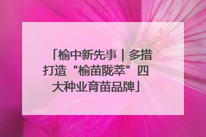 榆中新先事｜多措打造“榆苗陇萃”四大种业育苗品牌