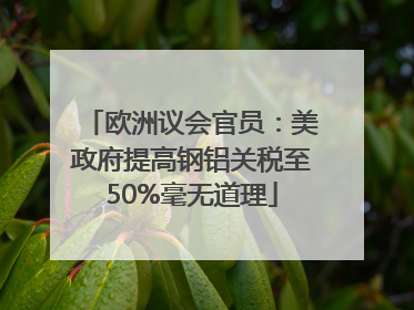 欧洲议会官员：美政府提高钢铝关税至50%毫无道理