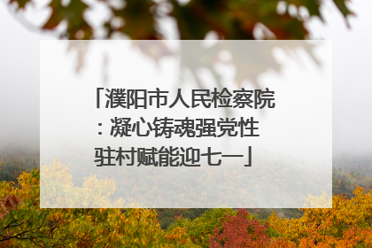 濮阳市人民检察院：凝心铸魂强党性 驻村赋能迎七一