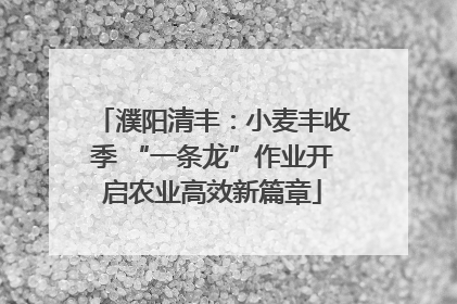 濮阳清丰：小麦丰收季 “一条龙”作业开启农业高效新篇章