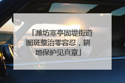 潍坊寒亭固堤街道图斑整治零容忍，耕地保护见真章