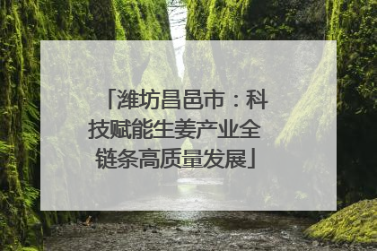 潍坊昌邑市：科技赋能生姜产业全链条高质量发展
