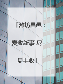 潍坊昌邑：麦收新事 尽显丰收