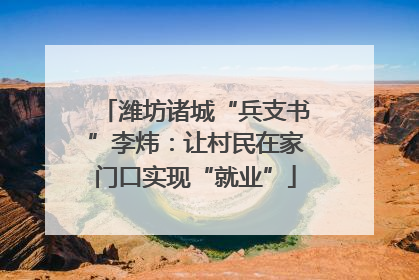 潍坊诸城“兵支书”李炜：让村民在家门口实现“就业”