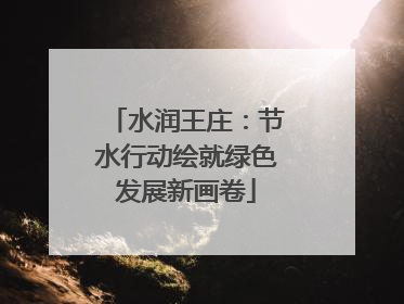 水润王庄：节水行动绘就绿色发展新画卷