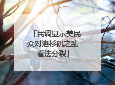 民调显示美民众对洛杉矶之乱看法分裂