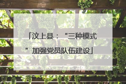 汶上县：“三种模式”加强党员队伍建设