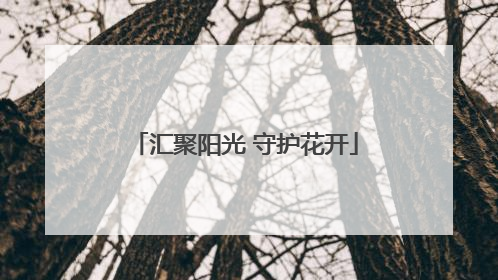 汇聚阳光 守护花开