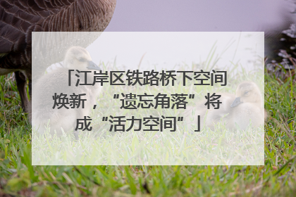 江岸区铁路桥下空间焕新，“遗忘角落”将成“活力空间”