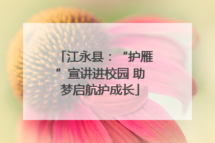 江永县：“护雁”宣讲进校园 助梦启航护成长