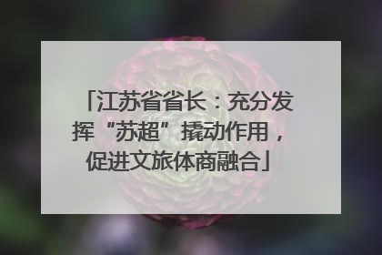 江苏省省长：充分发挥“苏超”撬动作用，促进文旅体商融合