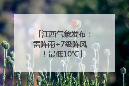 江西气象发布：雷阵雨+7级阵风！最低10℃