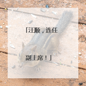 汪顺，连任副主席！