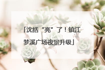 沈括“亮”了！镇江梦溪广场夜景升级
