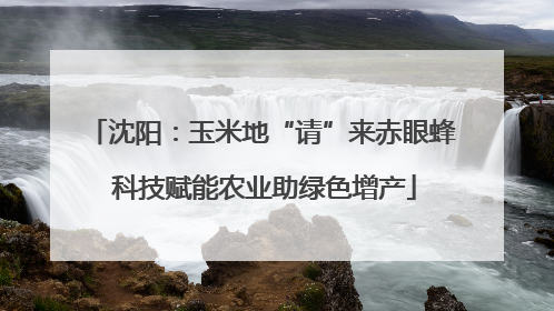 沈阳：玉米地“请”来赤眼蜂 科技赋能农业助绿色增产