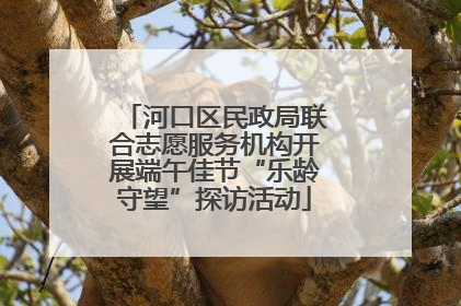 河口区民政局联合志愿服务机构开展端午佳节“乐龄守望”探访活动