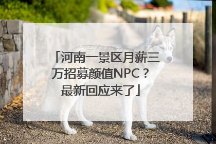 河南一景区月薪三万招募颜值NPC？最新回应来了