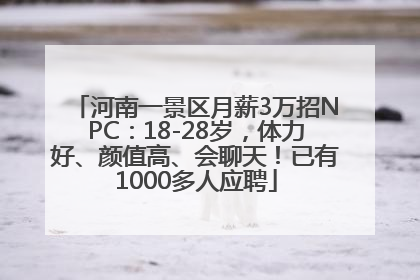 河南一景区月薪3万招NPC：18-28岁，体力好、颜值高、会聊天！已有1000多人应聘