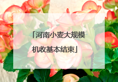 河南小麦大规模机收基本结束
