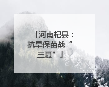 河南杞县：抗旱保苗战“三夏”