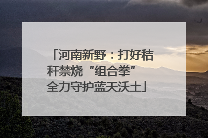 河南新野：打好秸秆禁烧“组合拳” 全力守护蓝天沃土