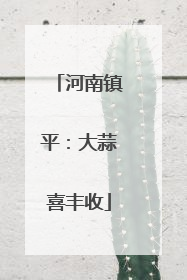 河南镇平：大蒜喜丰收