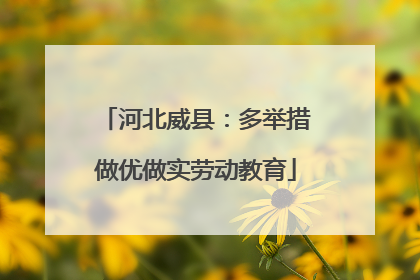 河北威县：多举措做优做实劳动教育