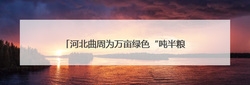河北曲周为万亩绿色“吨半粮”示范基地创建指挥田机制