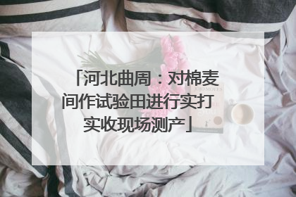 河北曲周：对棉麦间作试验田进行实打实收现场测产