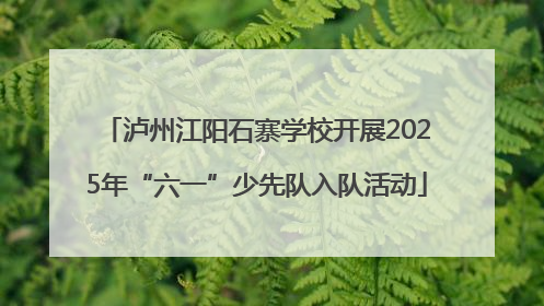 泸州江阳石寨学校开展2025年“六一”少先队入队活动