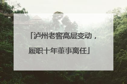 泸州老窖高层变动，履职十年董事离任