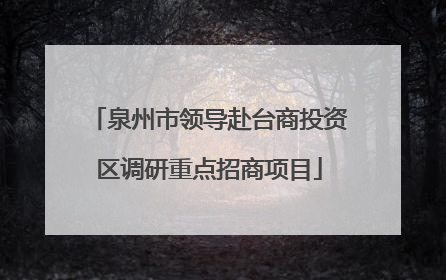 泉州市领导赴台商投资区调研重点招商项目
