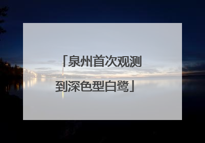 泉州首次观测到深色型白鹭