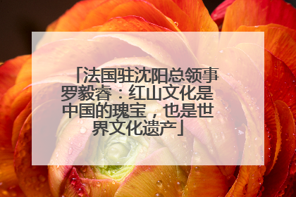 法国驻沈阳总领事罗毅睿：红山文化是中国的瑰宝，也是世界文化遗产