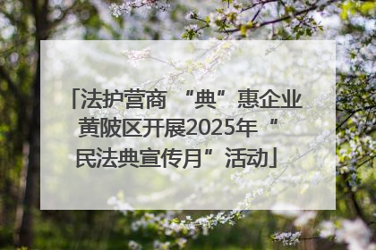 法护营商 “典”惠企业 黄陂区开展2025年“民法典宣传月”活动