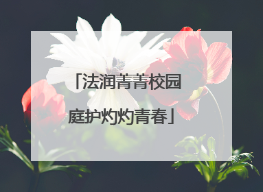 法润菁菁校园 庭护灼灼青春
